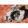 FORD- FIESTA- Σασμάν--HXJA 1.6CC-2009