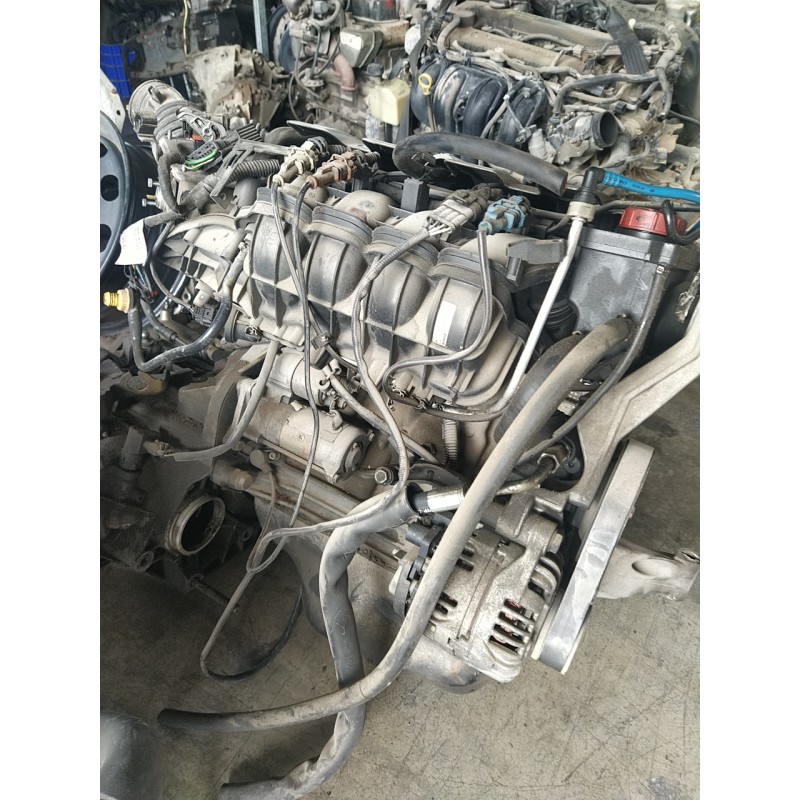 ALFA ROMEO - 33 - Αντλία βεντζίνης - ΚΩΔΙΚΟΣ ΜΗΧΑΝΗΣ: 33503 - ΚΥΒΙΚΑ: 1370 - ΕΤΟΣ: 1983-1990 - ΚΩΔ.ΚΑΤ/ΣΤΗ: 33503<br /><br />